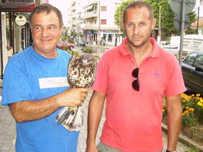 Έσωσαν το γεράκι